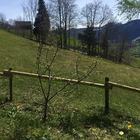 Dom wakacyjny Feriehuesli By Interhome Krummenau