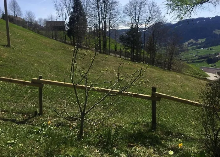 Prázdninový dům Feriehuesli By Interhome Krummenau